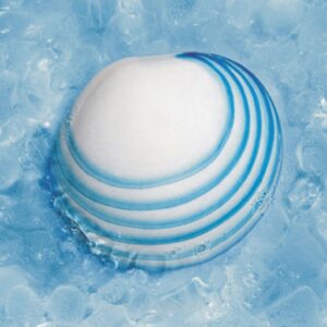 glacial shells