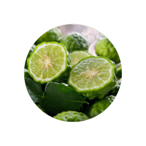 BERGAMOT