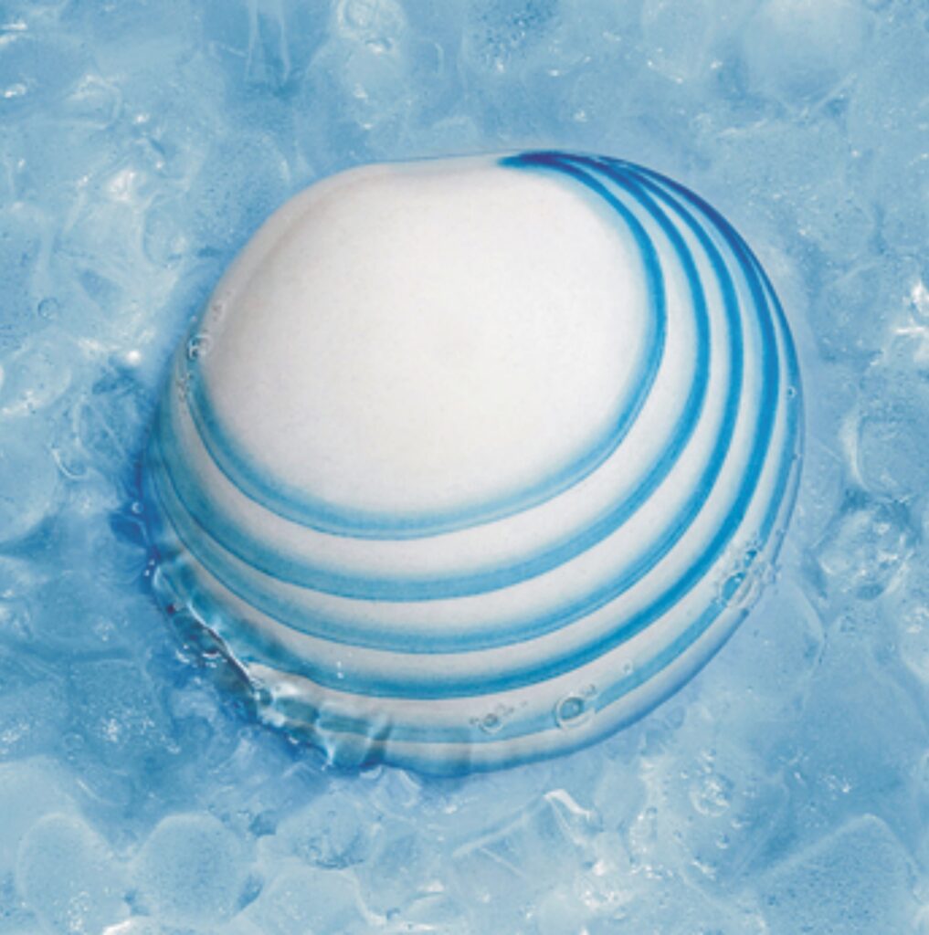 glacial shells