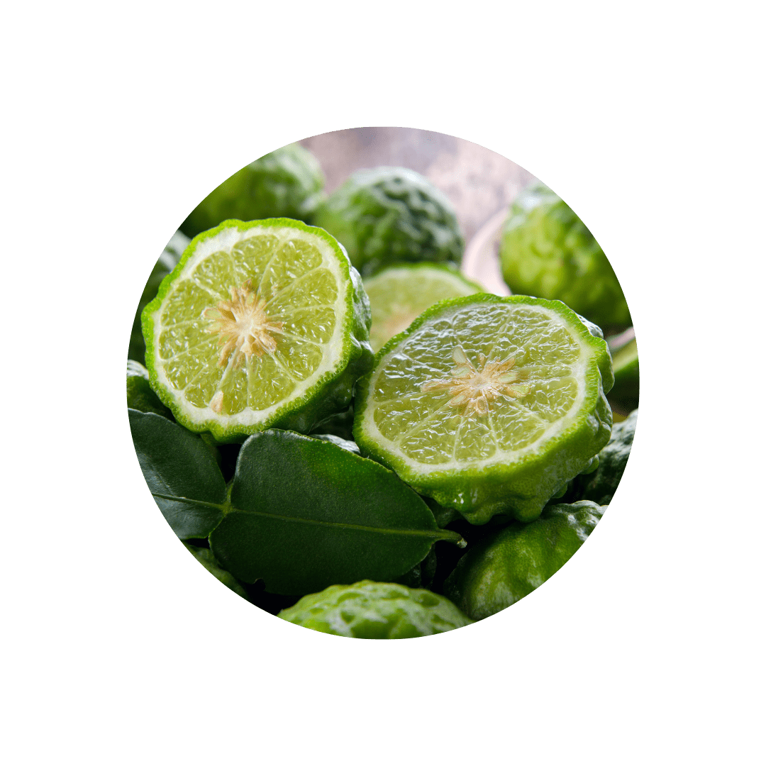 BERGAMOT