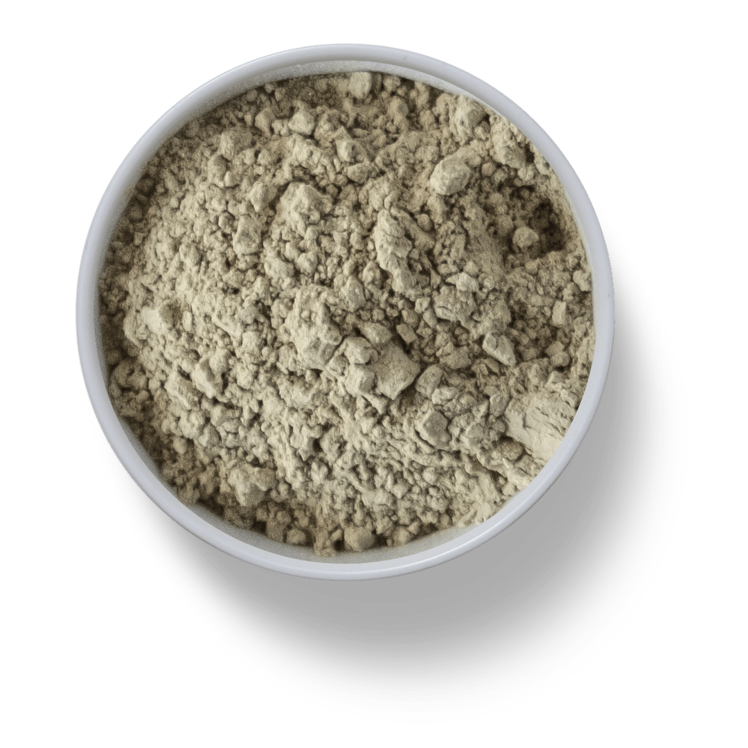 SPIRULINA - Image 2