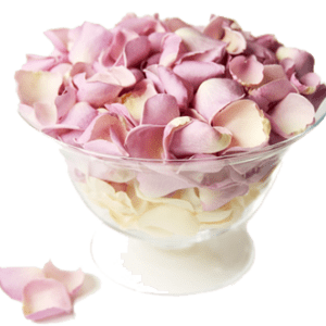 ROSENBLADE CANDY PINK